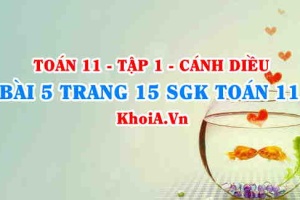 Bài 5 trang 15 SGK Toán 11 tập 1 Cánh Diều